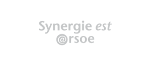 synergie-1-300x130.png